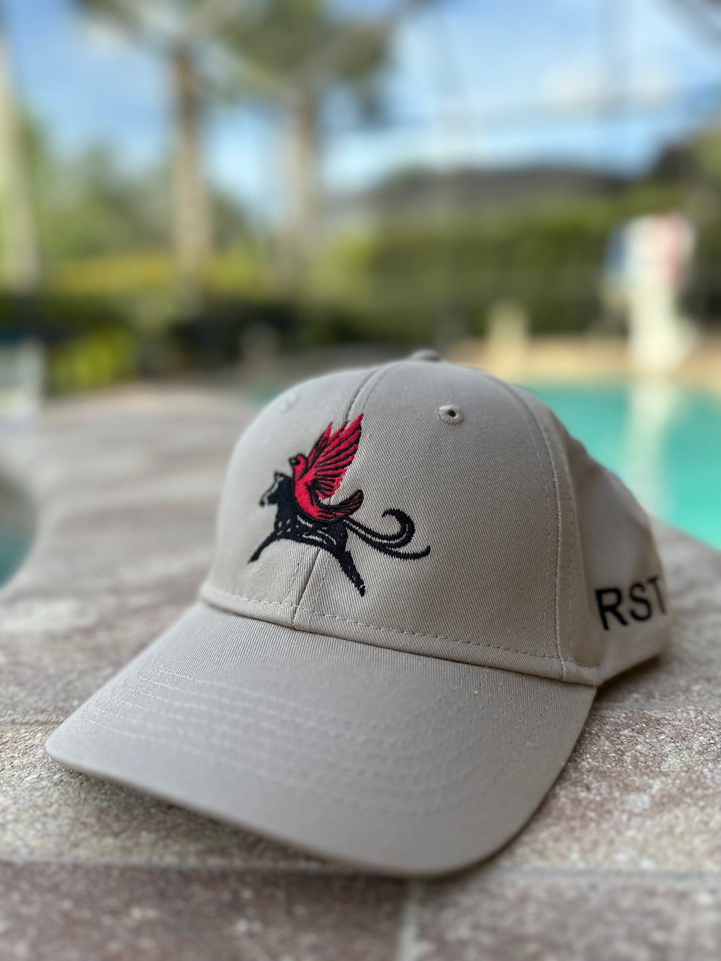 ASIAB hat