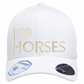 ASIAB hat