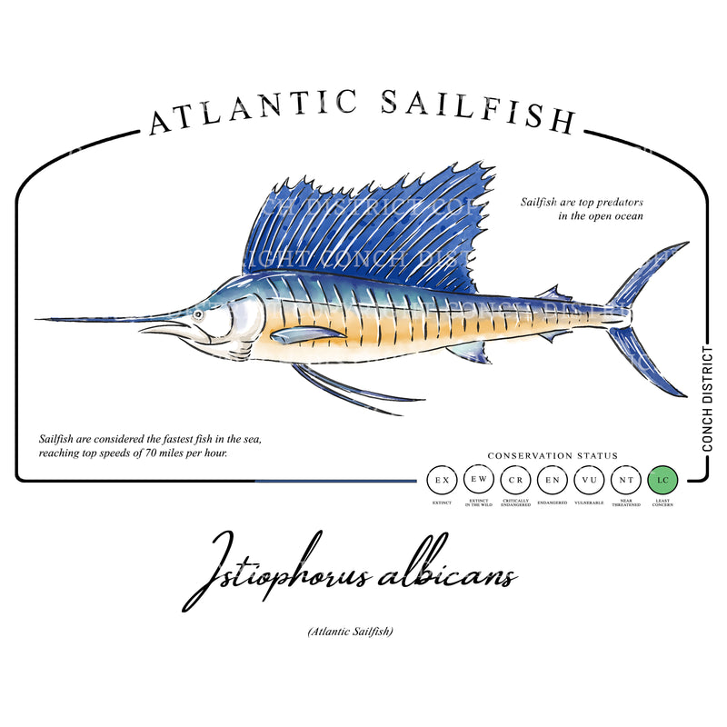 Atlantic Sailfish Conservation Status UPF 50+ Sun Protection Shirt Toddler & Youth