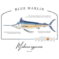 Blue Marlin Conservation Status Shirt | Womens Recycled Solar Performance