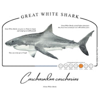 Great White Shark Conservation Status UPF 50+ Sun Protection Hoodie Youth