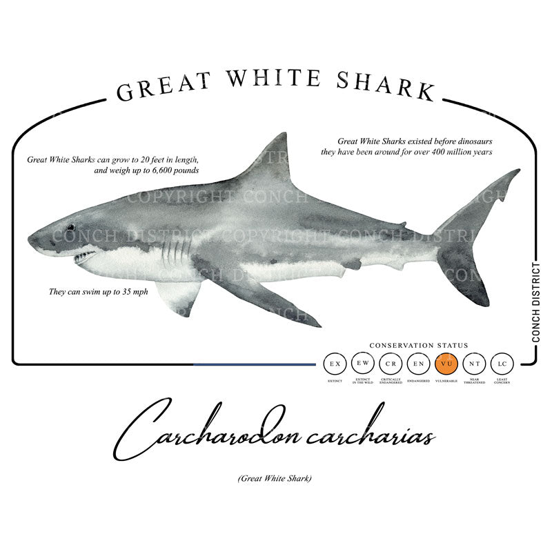 Great White Shark Conservation Status UPF 50+ Sun Protection Shirt Toddler & Youth