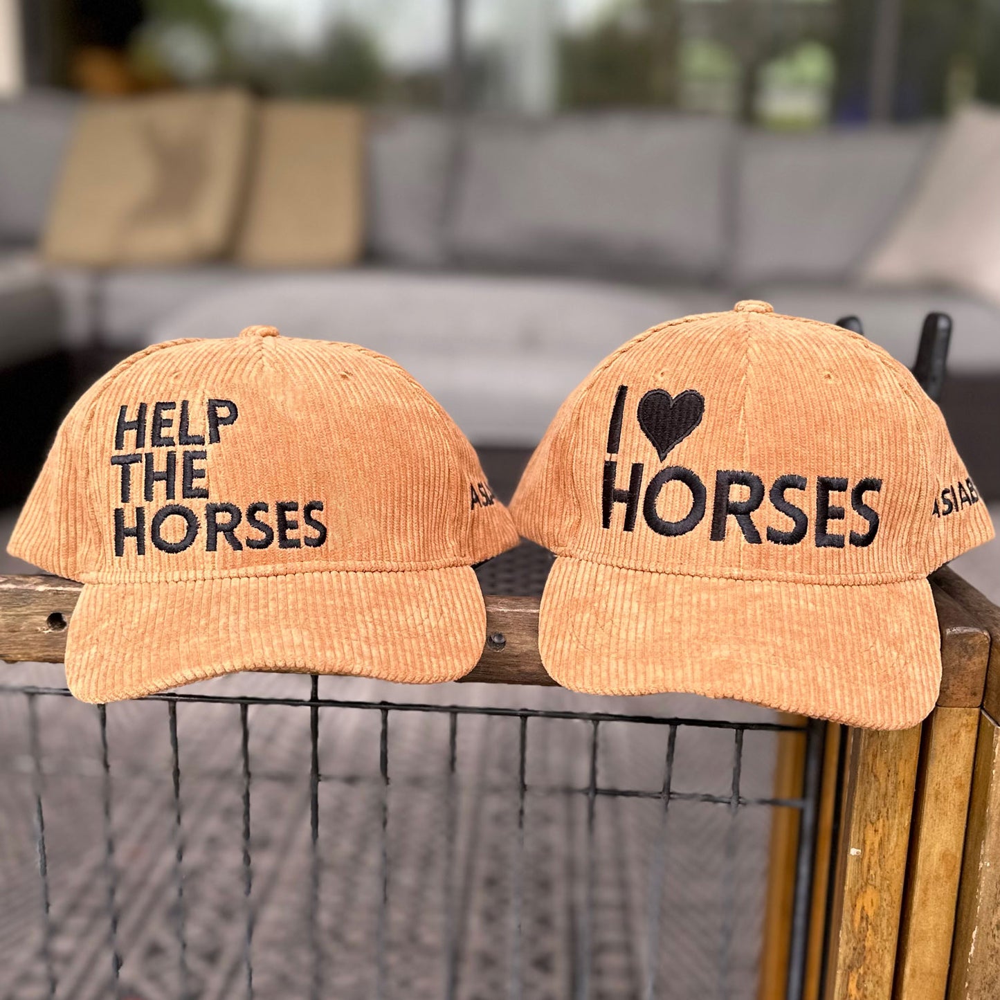 ASIAB hat