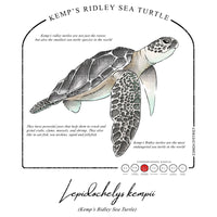 Kemps Ridley Sea Turtle Conservation Status UPF 50+ Sun Protection Hoodie Youth