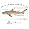 Lemon Shark Conservation Status UPF 50+ Sun Protection Hoodie Youth
