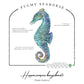 Pygmy Seahorse Conservation Status Shirt | Womens Recycled Solar Performance