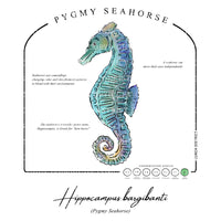 Pygmy Seahorse Conservation Status UPF 50+ Sun Protection Shirt Toddler & Youth