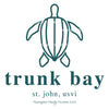 Trunk Bay St John Leatherback Sea Turtle | Recycled Solar Performance