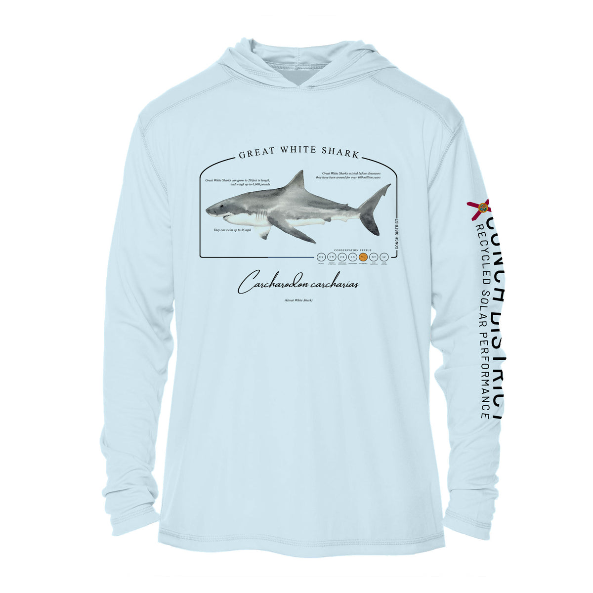 Atlantic Sailfish Conservation Status Shirt  Womens Recycled Solar Pe –  Conch District