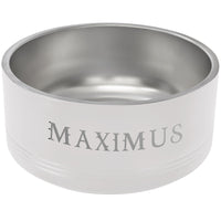 64 oz Stainless Steel Insulated Pet Bowl